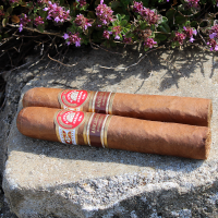 H. Upmann Robusto Anejados Cigar - 1 Single